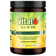 Vital, All in One Lemon & Ginger 300g (8691037831420)